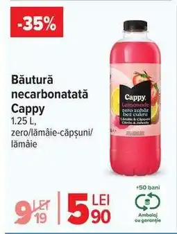 Carrefour Băutură necarbonatată Cappy Ofertă