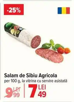 Carrefour Salam de Sibiu Agricola Ofertă