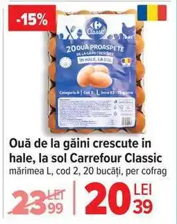 Carrefour Ouă de la găini crescute în hale la sol, Carrefour Classic Ofertă