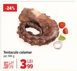 Carrefour Tentacule calamar Ofertă
