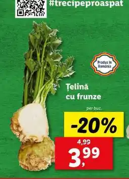 Lidl Ţelină cu frunze Ofertă