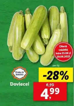 Lidl Dovlecei Ofertă