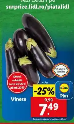 Lidl Vinete Ofertă