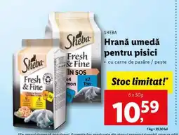 Lidl SHEBA HRANĂ UMEDĂ PENTRU PISICI Ofertă