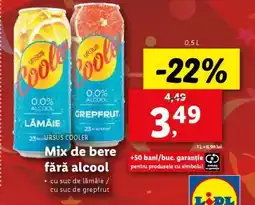Lidl URSUS COOLER Ofertă