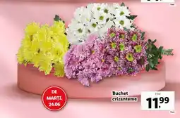 Lidl Buchet crizanteme Ofertă