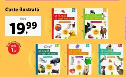 Lidl Carte ilustrată Ofertă