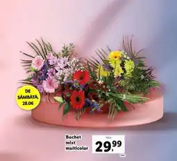 Lidl Buchet mixt multicolor Ofertă