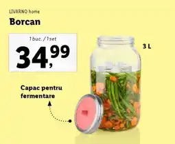 Lidl LIVARNO home Borcan Ofertă