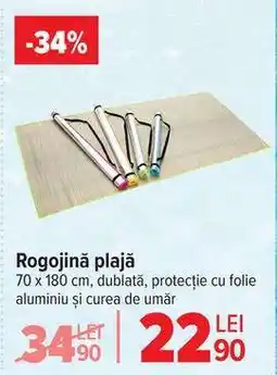 Carrefour Rogojină plajă Ofertă