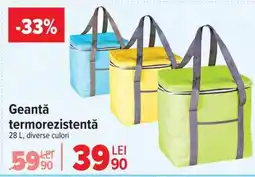 Carrefour Geantă termorezistentă Ofertă