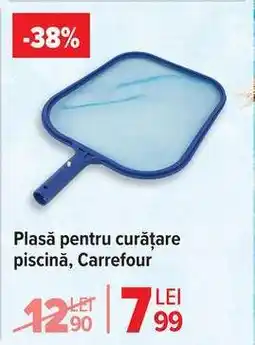 Carrefour Plasă pentru curățare piscină, Carrefour Ofertă