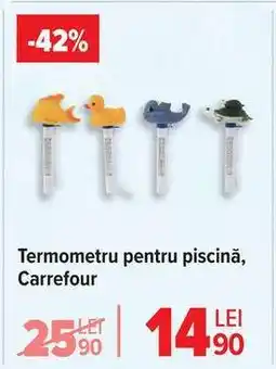 Carrefour Termometru pentru piscină, Carrefour Ofertă