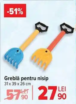 Carrefour Greblă pentru nisip Ofertă