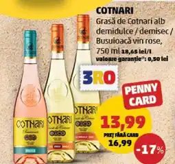 Penny COTNARI Ofertă