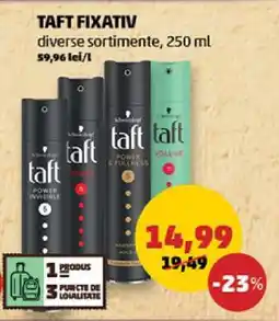 Penny TAFT FIXATIV Ofertă