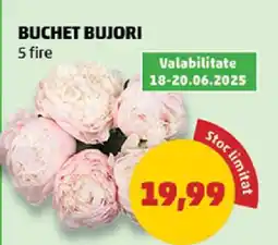 Penny Buchet bujori Ofertă