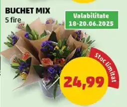 Penny Buchet mix Ofertă