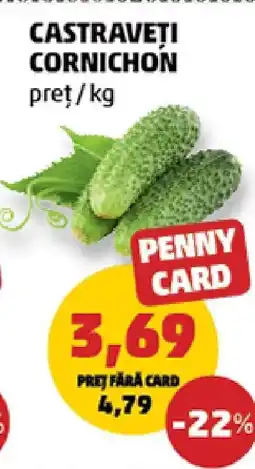 Penny Castraveţi cornichon Ofertă