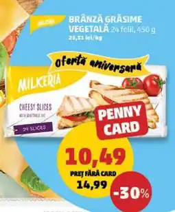 Penny Brânză Grăsime Vegetală Ofertă