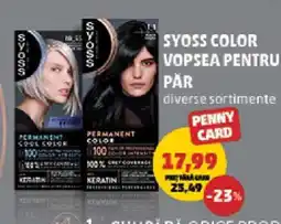 Penny SYOSS COLOR Vopsea pentru păr Ofertă