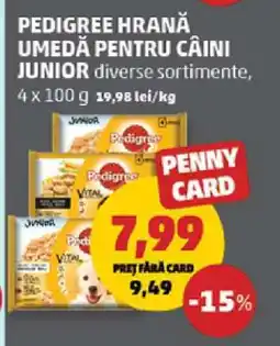 Penny Pedigree hrană umedă pentru câini junior Ofertă