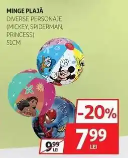 Auchan Minge Plajă Ofertă