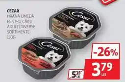 Auchan Cezar hrană umedă pentru câini adulți Ofertă