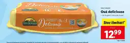 Lidl Ouă delicioase Ofertă