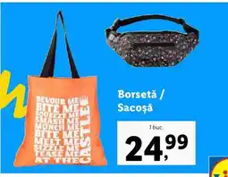 Lidl Borsetă / Sacoșă Ofertă