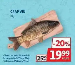 Auchan Crap viu Ofertă