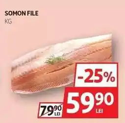 Auchan SOMON FILE Ofertă