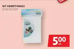 Auchan Set 3 Bureți Magici Ofertă