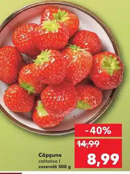Kaufland Căpşune Ofertă