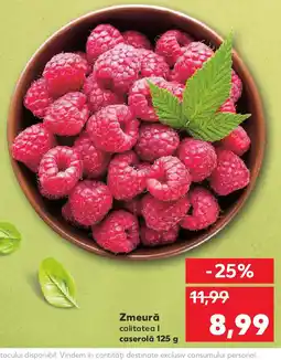 Kaufland Zmeură Ofertă