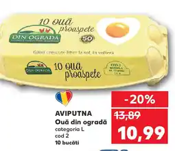 Kaufland AVIPUTNA Ouă din ogradă Ofertă
