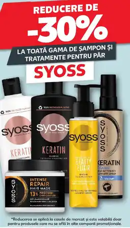 Kaufland SYOSS Ofertă