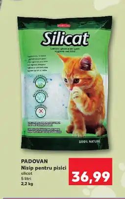 Kaufland PADOVAN Nisip pentru pisici Ofertă