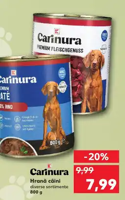 Kaufland Hrană câini Ofertă
