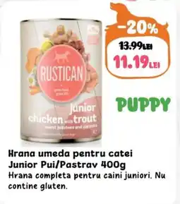 Animax Hrana umeda pentru catei Junior Pui/Pastrav Ofertă