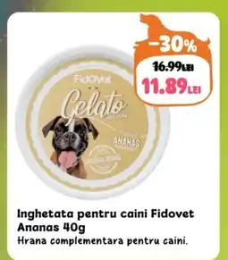 Inghetata pentru caini Fidovet Ananas