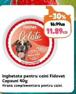 Inghetata pentru caini Fidovet Capsuni