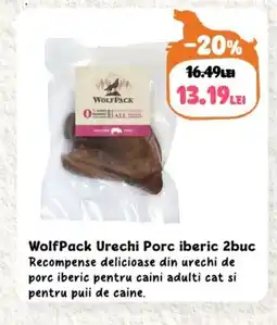 WOLFPACK Urechi Porc iberic