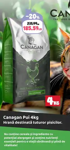 Animax CANAGAN Pui Ofertă