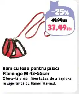 Animax Ham cu lesa pentru pisici Flamingo M Ofertă