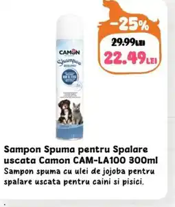 Sampon Spuma pentru Spalare uscata Camon CAM-LA100