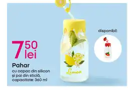 Pepco Pahar Ofertă