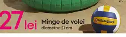 Pepco Minge de volei Ofertă