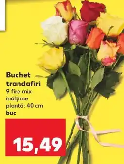 Kaufland Buchet trandafiri Ofertă