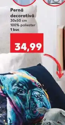 Kaufland Pernă decorativă Ofertă